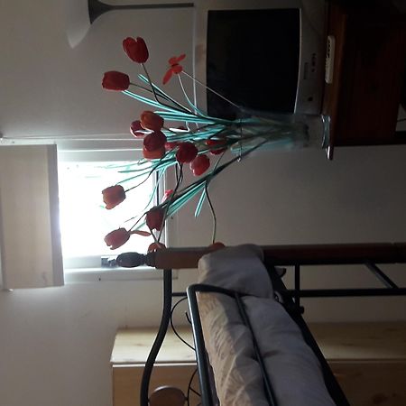 Palmita Hotel Hostel Oranjestad Dış mekan fotoğraf