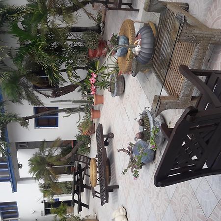 Palmita Hotel Hostel Oranjestad Dış mekan fotoğraf
