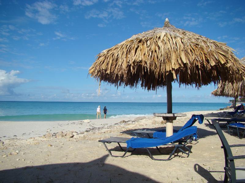 Palmita Hotel Hostel Oranjestad Dış mekan fotoğraf