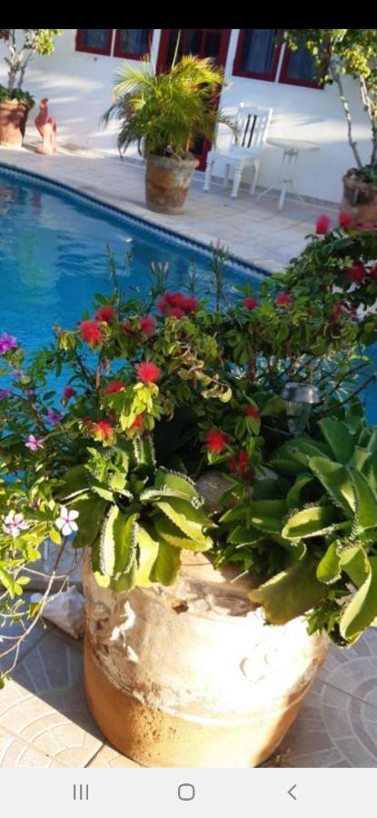 Palmita Hotel Hostel Oranjestad Dış mekan fotoğraf