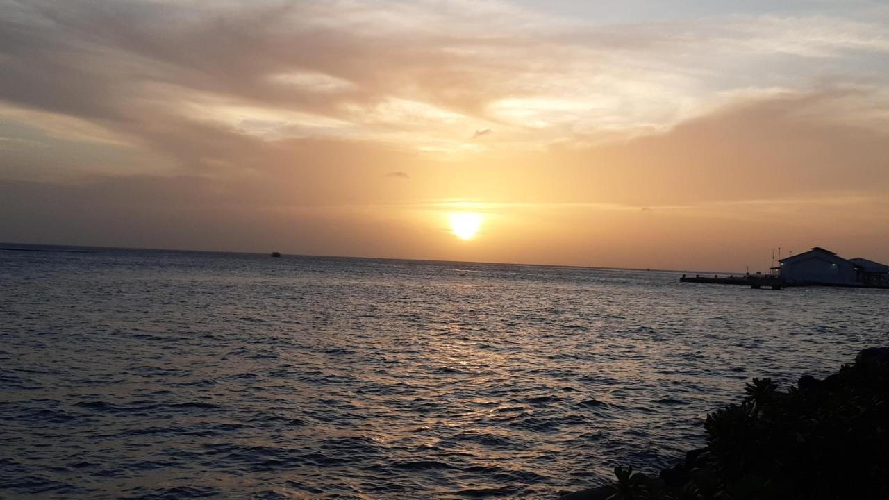 Palmita Hotel Hostel Oranjestad Dış mekan fotoğraf