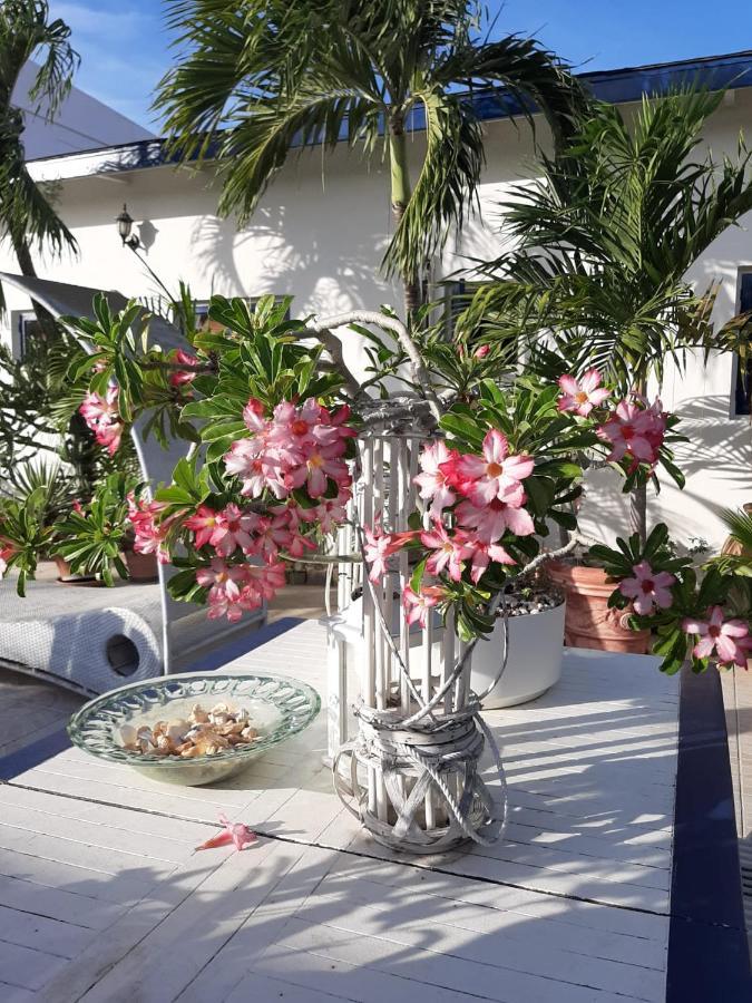 Palmita Hotel Hostel Oranjestad Dış mekan fotoğraf