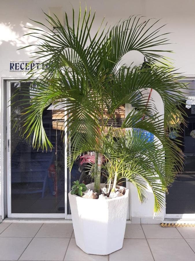 Palmita Hotel Hostel Oranjestad Dış mekan fotoğraf