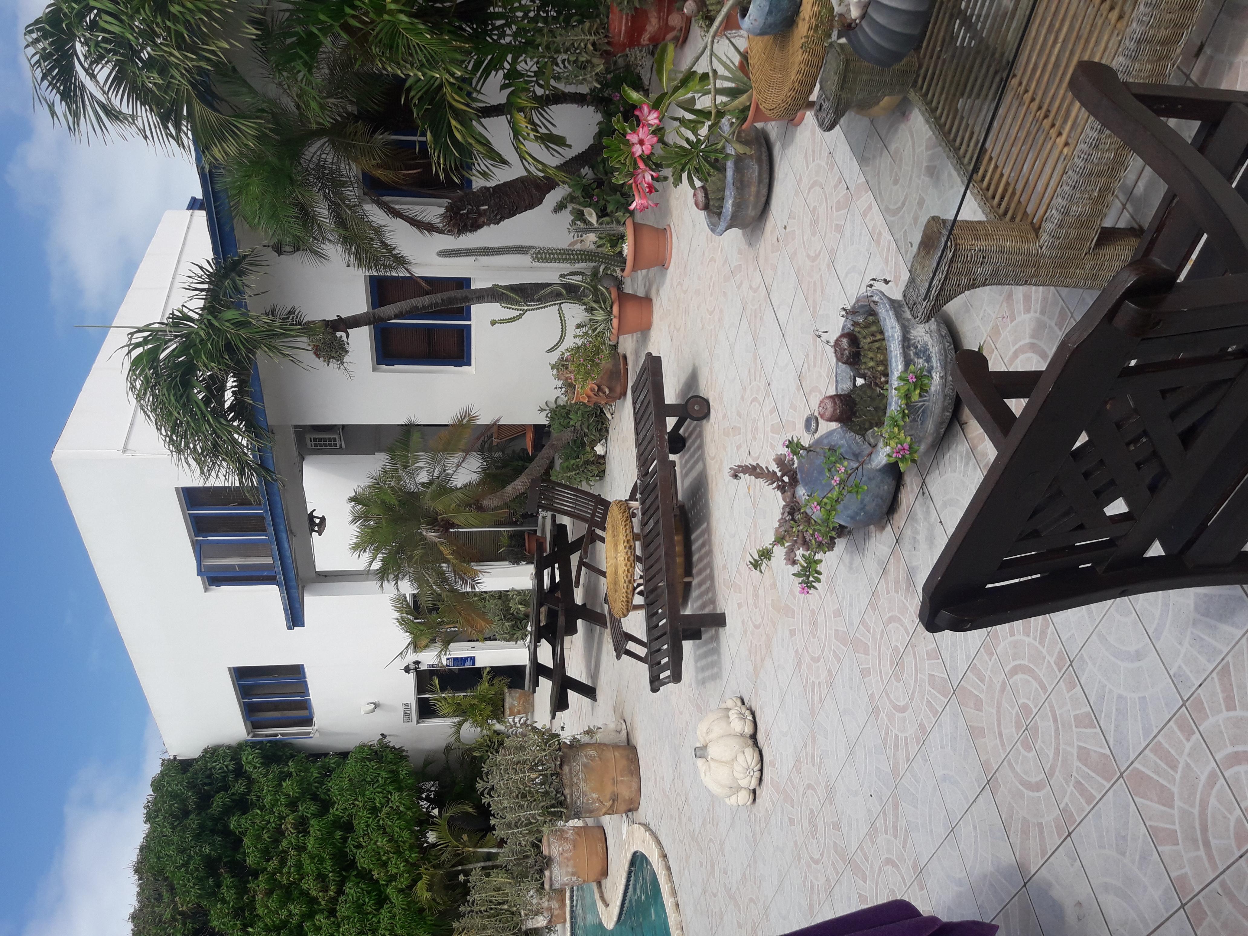 Palmita Hotel Hostel Oranjestad Dış mekan fotoğraf