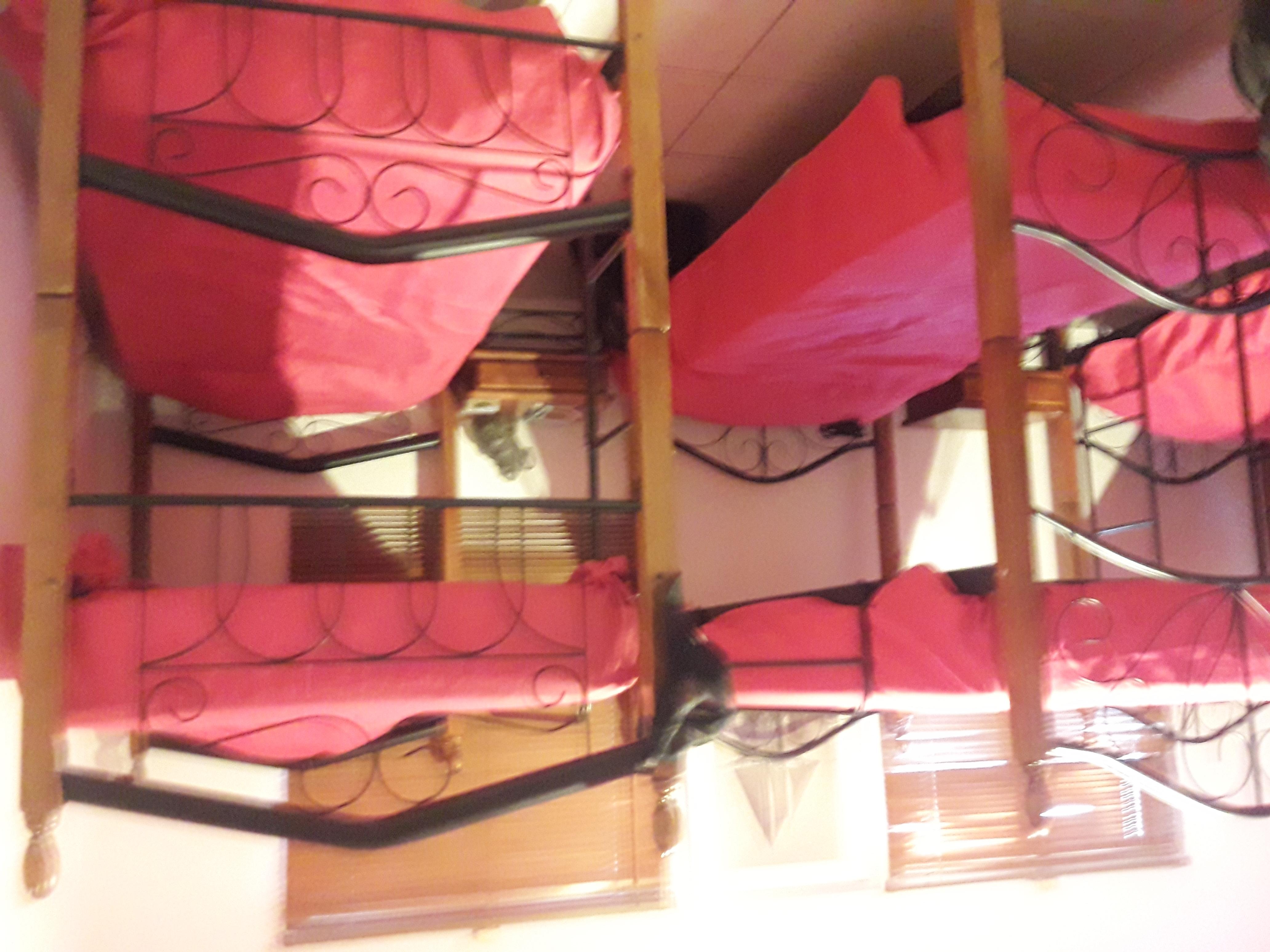 Palmita Hotel Hostel Oranjestad Dış mekan fotoğraf