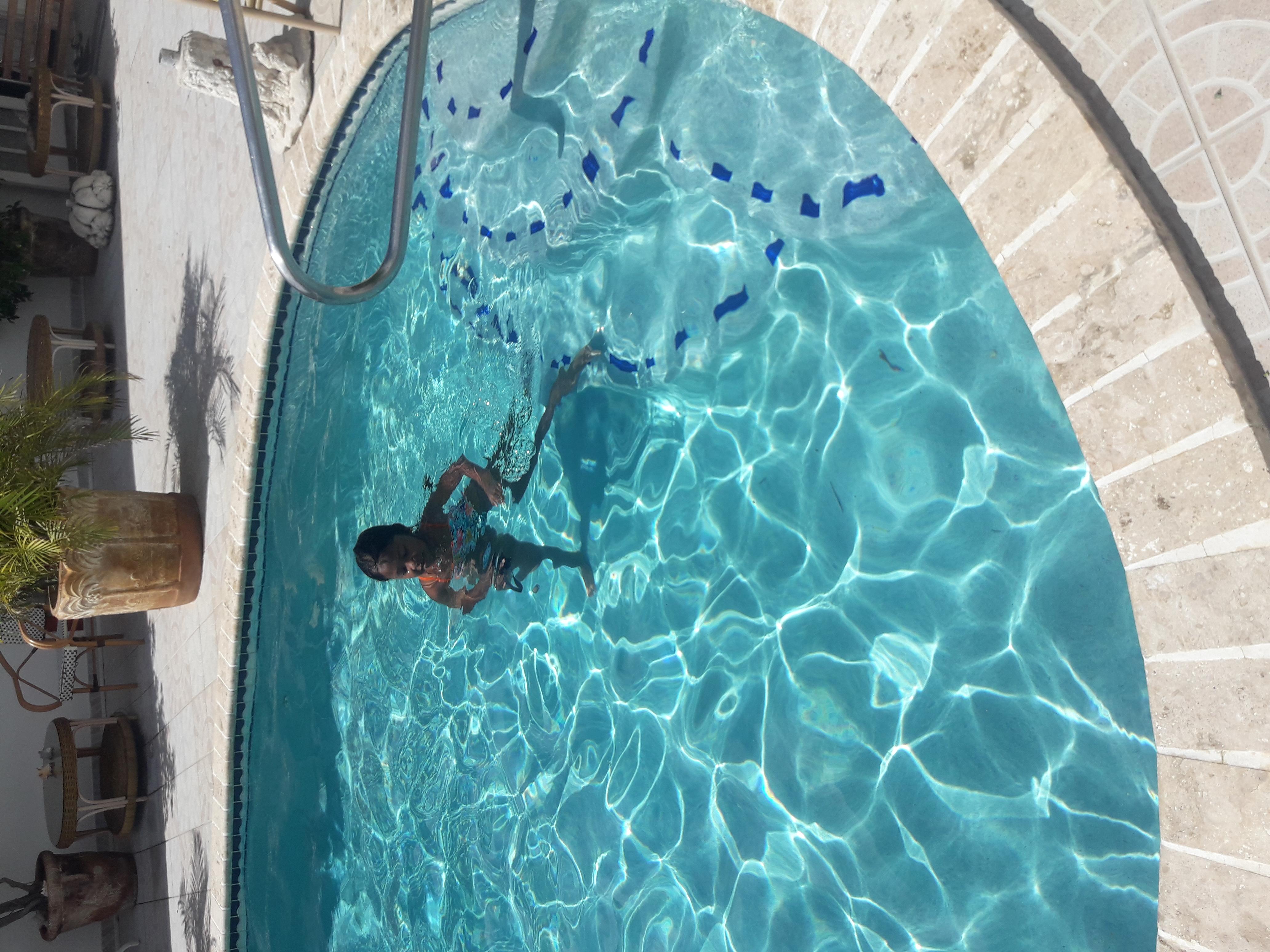 Palmita Hotel Hostel Oranjestad Dış mekan fotoğraf