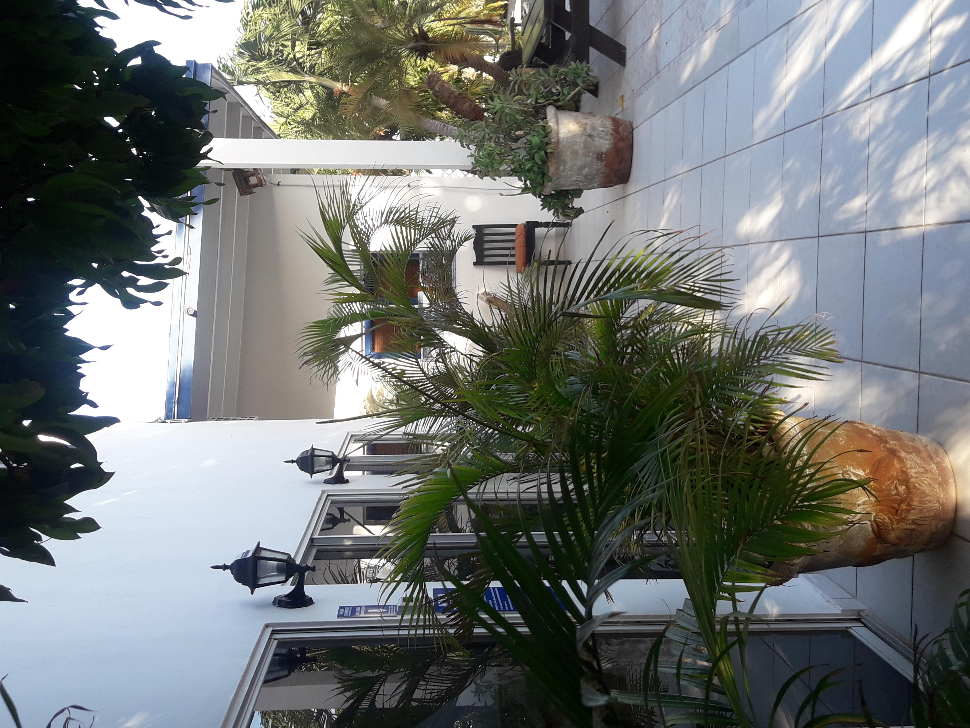 Palmita Hotel Hostel Oranjestad Dış mekan fotoğraf