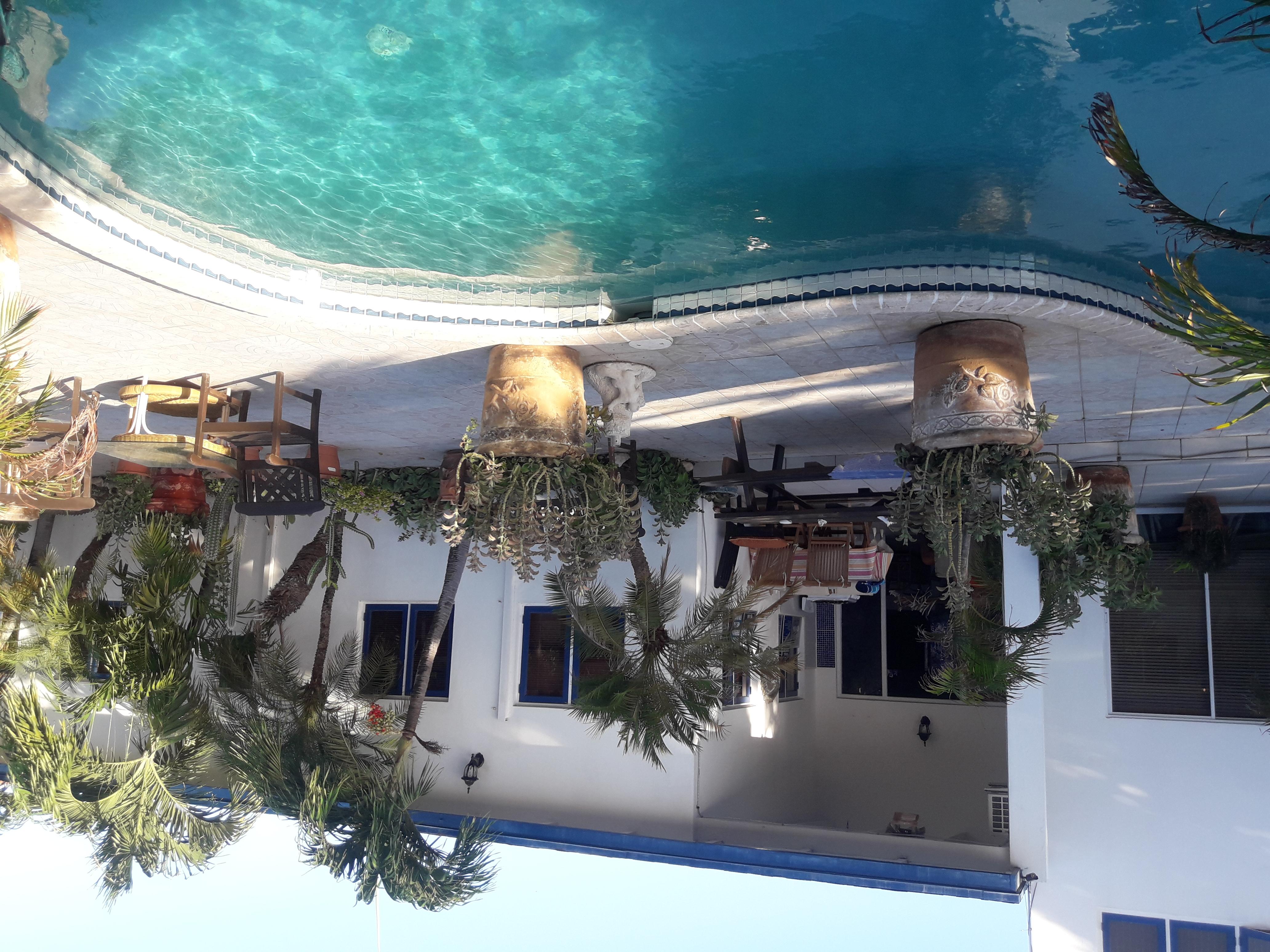 Palmita Hotel Hostel Oranjestad Dış mekan fotoğraf