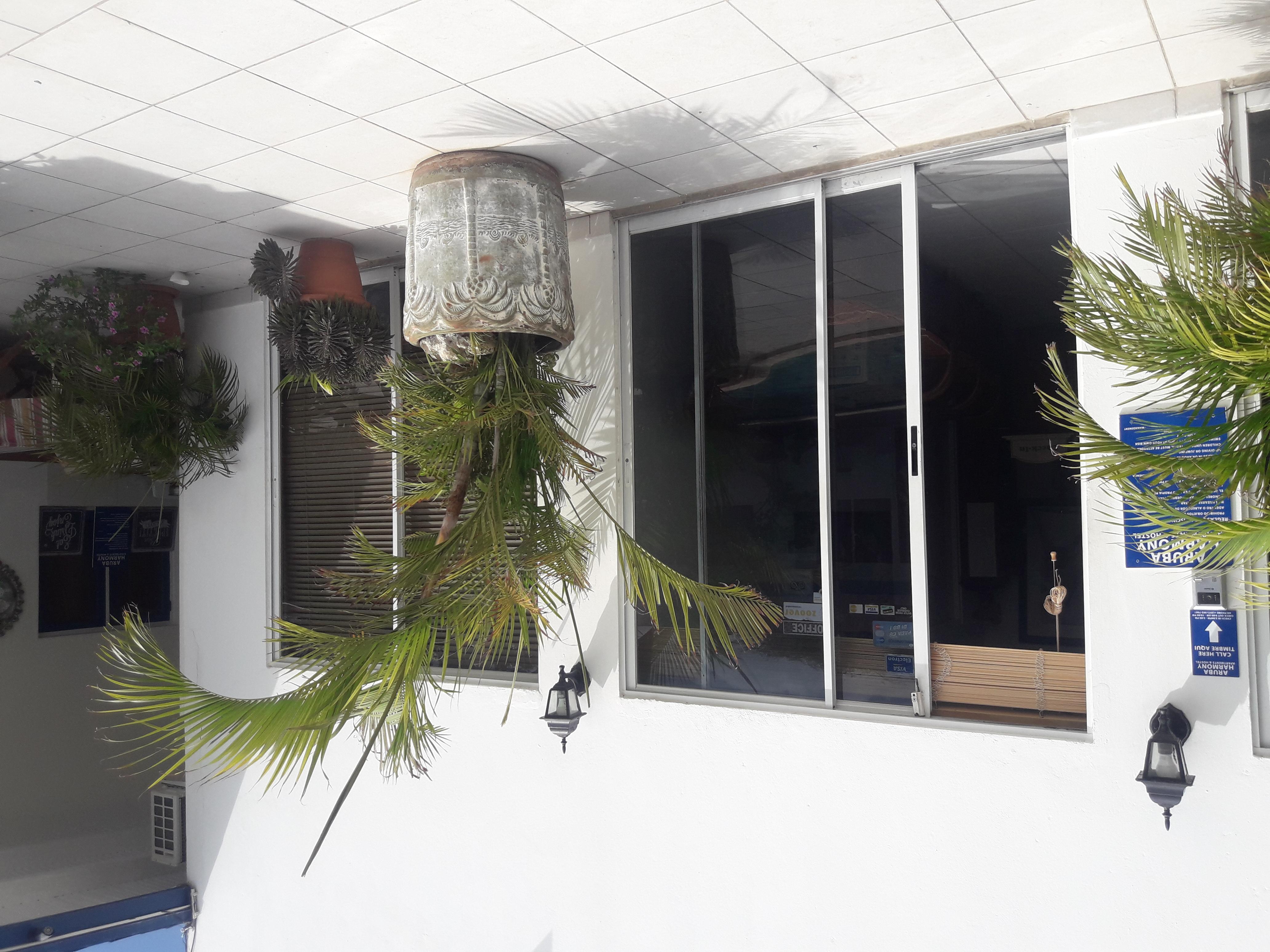 Palmita Hotel Hostel Oranjestad Dış mekan fotoğraf
