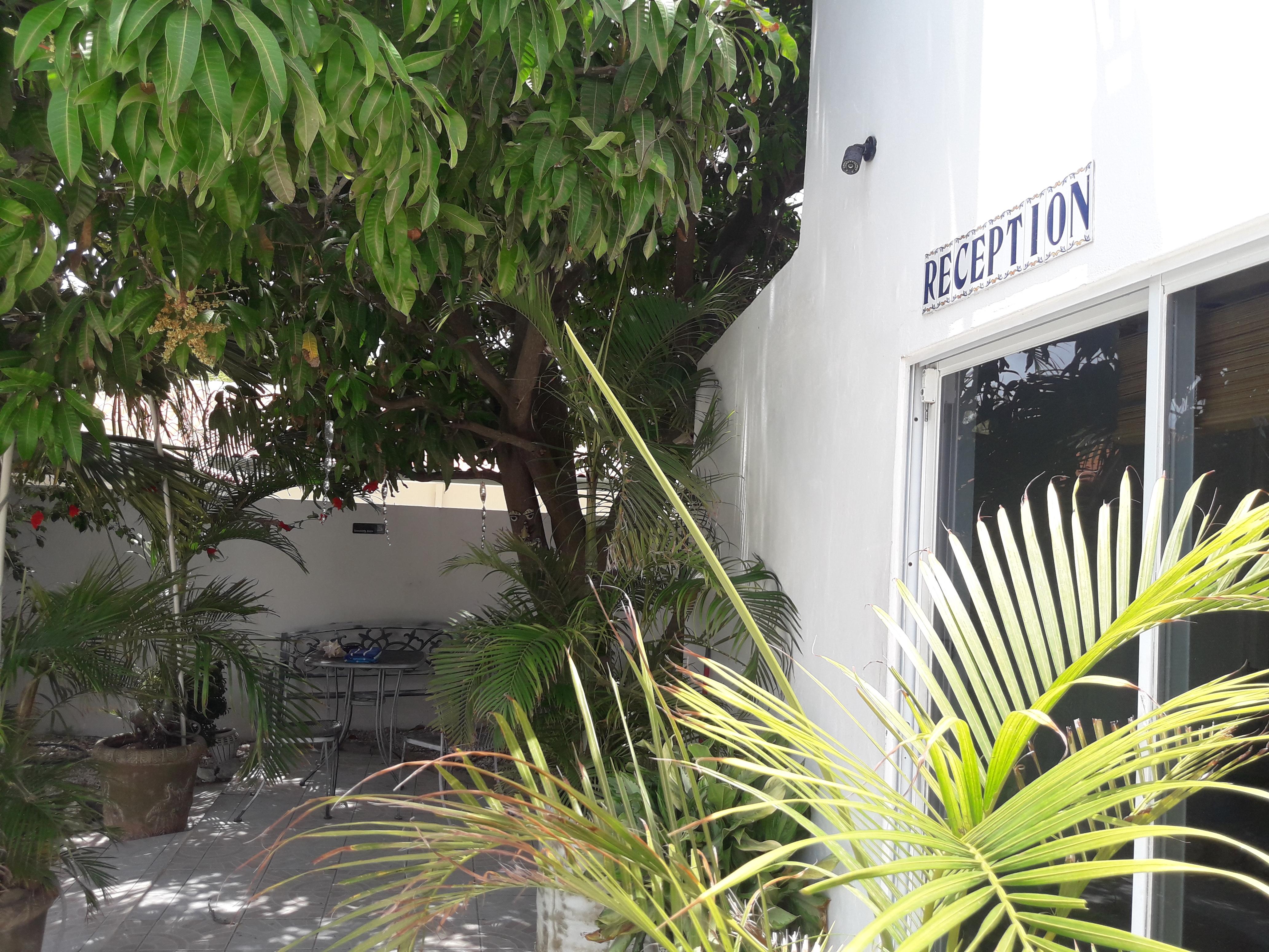 Palmita Hotel Hostel Oranjestad Dış mekan fotoğraf