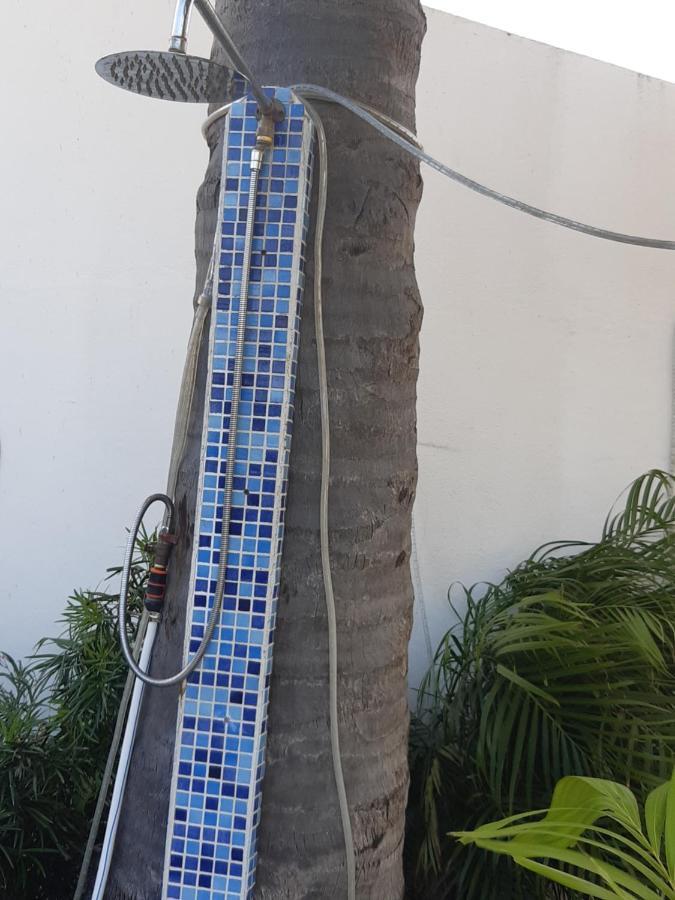 Palmita Hotel Hostel Oranjestad Dış mekan fotoğraf