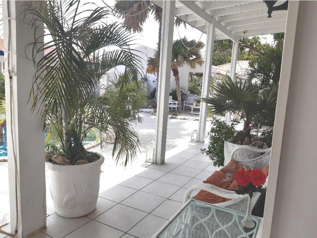Palmita Hotel Hostel Oranjestad Dış mekan fotoğraf